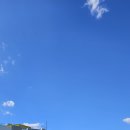 송원애견의집 이미지