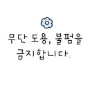 멍냥집사24선유도역점