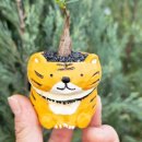 세나농장 이미지