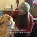 눈썹언니 - 서산시 덕지천로 103 | 눈썹언니