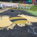 영흥초등학교 이미지