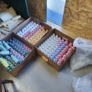 능포초등학교 이미지