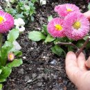 만복경로당 이미지