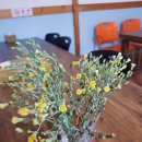 꽃 어여쁘다 이미지