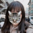 솜씨좋은 헤어샵 네이버블로그