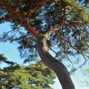 운봉읍 삼산마을 이미지