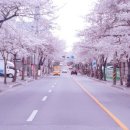 성인 태극권 이미지