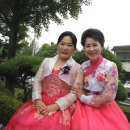 장미한복 이미지