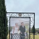 파주켄넬 | 스냅 희일 스튜디오 내돈내산 추천 &amp; 비 오는 날 파주 퍼스트 가든 야외 웨딩 취소 당일 실내 웨딩 변경...