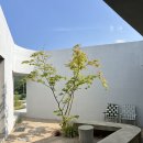 낮은정원 이미지