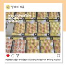 석이랑농원 | 장호원 햇사레 복숭아 맛있는 곳 석이농원 파지 복숭아 내돈내산 후기