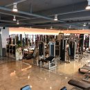 그레이트짐 이미지