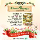 벨라지오 이미지