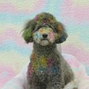 (주)아이지디 이미지