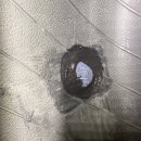 로고스카센타 이미지