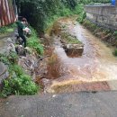 세계로카센타 이미지