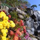 정원이있는 카페 이미지