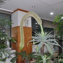 북구청 민원실 이미지