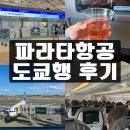 파라타항공 WE501, 502 인천 도쿄 후기 마이리얼트립 항공권 특가 후지산뷰 방향좌석 추천