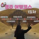두꺼비로70번길(3-260) | 경주여행코스 황리단길데이트 - 2박3일일정 황리단길놀거리 경주가볼만한곳 이색여행코스