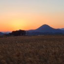 순천만습지 이미지