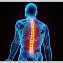 운동으로 지키는 관절 건강 이미지