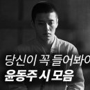 윤동주 시 모음 낭독 feat.동주 / 이상윤 이미지