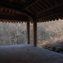 순천-25호 이미지