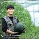 어그리몬 이미지