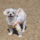 스토리 멍 이미지