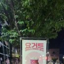 요거트아이스크림의정석오송점