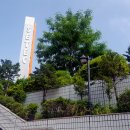 보리노래연습장 이미지