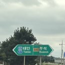 태안캠핑농원 | 태안 솔향기길 관광농원 캠핑장 파쇄석 5번 차박 후기