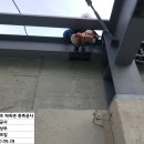 송죽초등학교 이미지