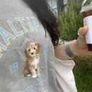 민스커피 범계점 이미지