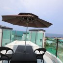 제주 246 이미지