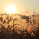남천교 - 고성군 | 남천교