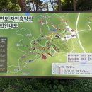 바다의 숲속 | 숲속과 바다의 JSA “안면도 자연휴양림” ,숲 속의 집 방문기