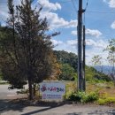 옥성칼국수 이미지