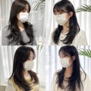 떼르헤어