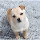파라다이스 | 파라다이스 그레인 내돈내산 후기!