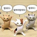 마케팅니즈