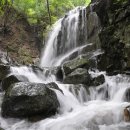 수도녹색숲모티길 이미지