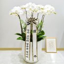 (재)대전교구천주교회유지재단성환묘원 이미지