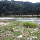 두메아리 이미지