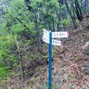 전동면사무소 이미지