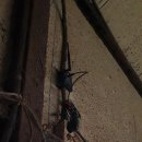 완호목장 이미지