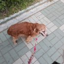 우리별분식