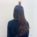 머리하는 궁