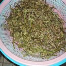 놀이터2 이미지